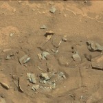Mars-fossil-thigh-femur-bone-like-Curiosity-rover-mastcam-0719MR0030550060402769E01_DXXX-full