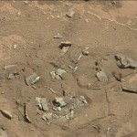 Mars-fossil-thigh-femur-bone-like-Curiosity-rover-mastcam-0719MR0030550060402769E01_DXXX-full-1-90C